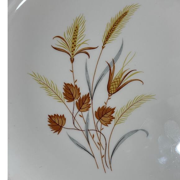 Vintage Taylor Smith & Taylor Autumn Harvest 10" Ceramic Dinner Plate MCM - Picture 3 of 8